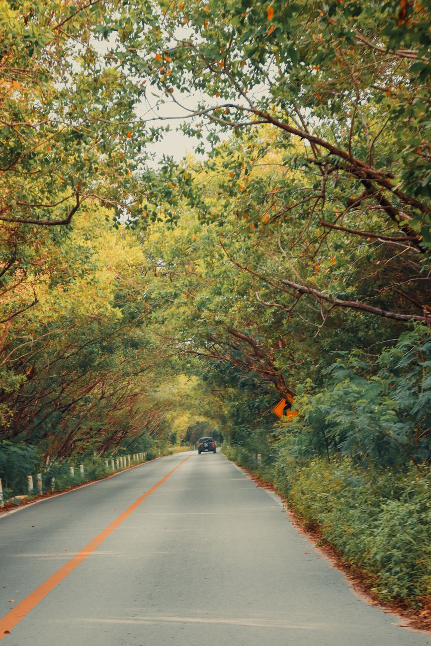 Highway road drive between Cancun and Valladolid