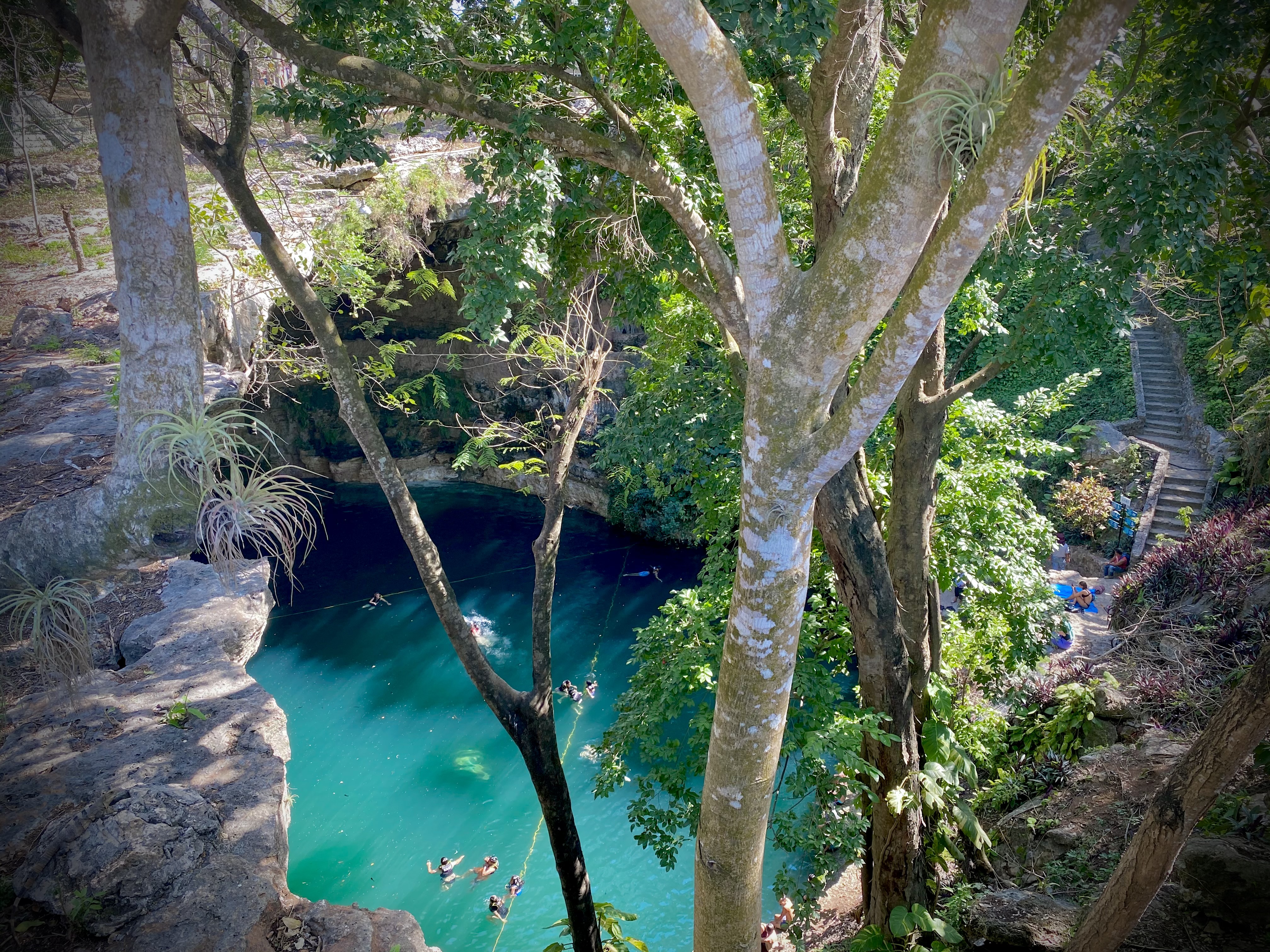 Cenote Zací Valladolid Mexico